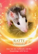 Die Ratte als Krafttier