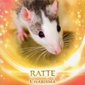 Die Ratte als Krafttier