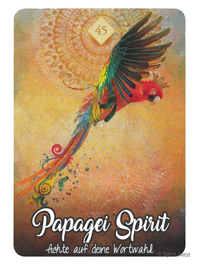 Papagei Spirit