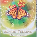 Krafttier Schmetterling 3