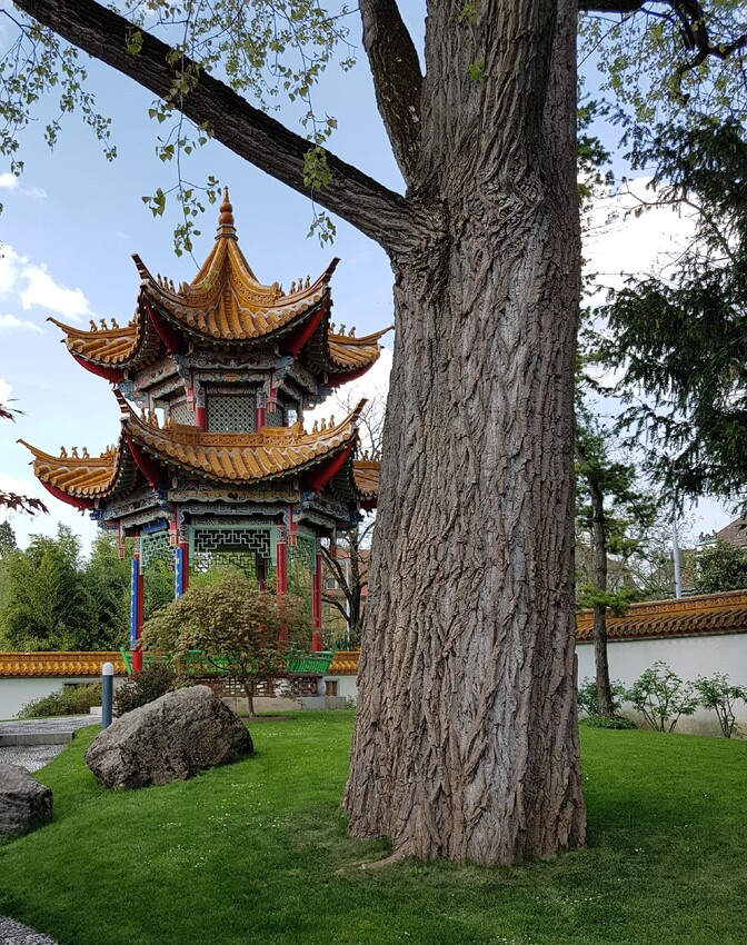 Pagode im Chinagarten Zürich