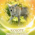 Krafttier Kojote - Die närrische Weisheit