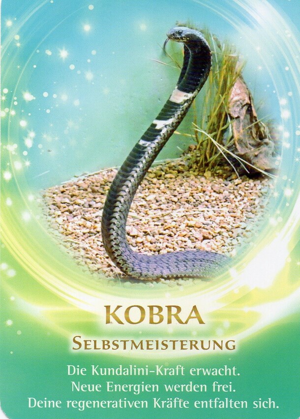 Krafttier Kobra