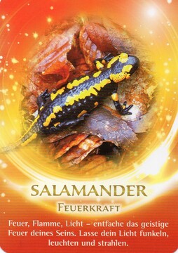 Der Salamander als Krafttier