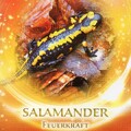 Der Salamander als Krafttier