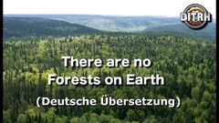 Es gibt keine Wälder auf der Erde! (ohne Musik)