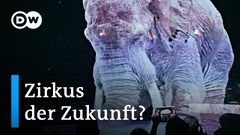 Holographie statt echter Tiere im Zirkus | Euromaxx
