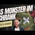 Lektion 104 - Das Monster im Schrank - Ein Kurs in Wundern mit Frank Hamm