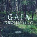 Grounding to Mother Gaia 🌍 Shaman Drum Journey, Gong & Nature ROOT Chakra Meditation Music