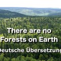Es gibt keine Wälder auf der Erde! (ohne Musik)